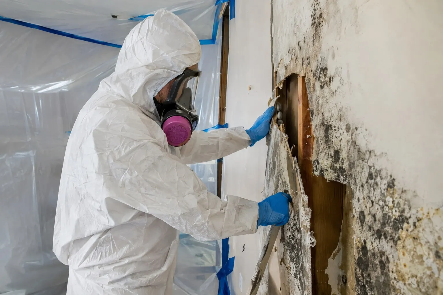 Technician in protective equipment removing mold-affected drywall inside containment
