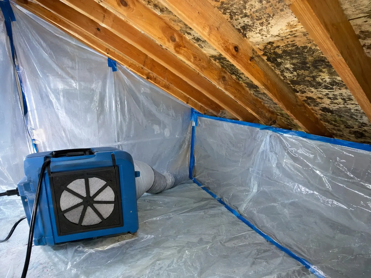 Mold Remediation in Grapevine, TX