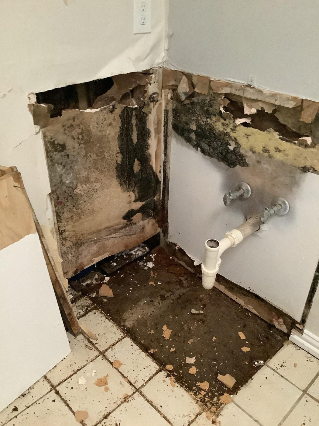 Visible mold damage before remediation