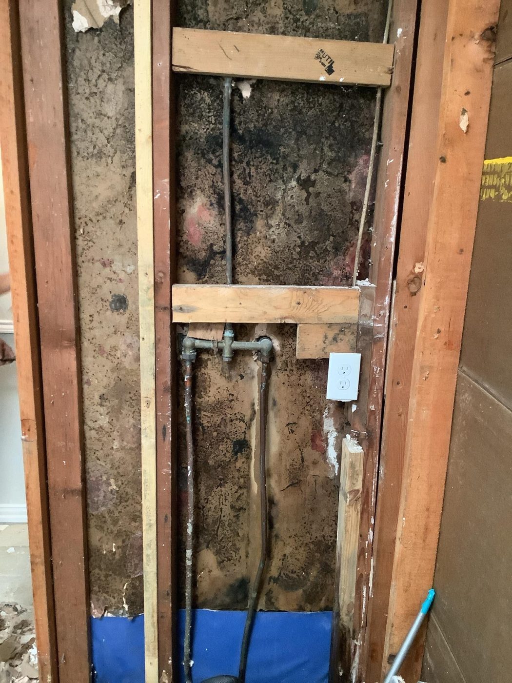 Mold remediation area prepared for safe removal
